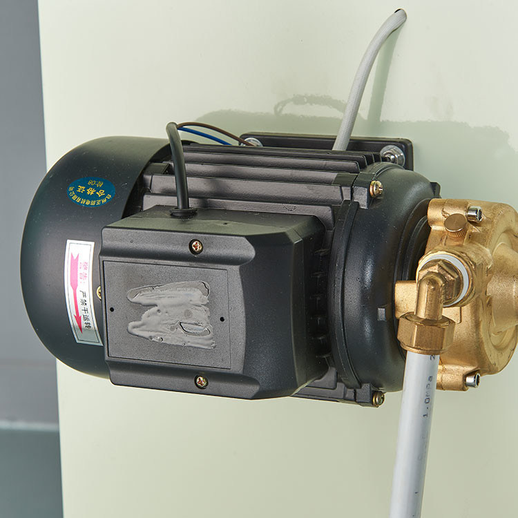 Générateur de vapeur à carburant à gaz / à huile 0,7Mpa Petite taille Légère et pratique