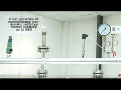 ZQJ-300KG-0.7Mpa Générateur de vapeur de four à module alimenté au gaz